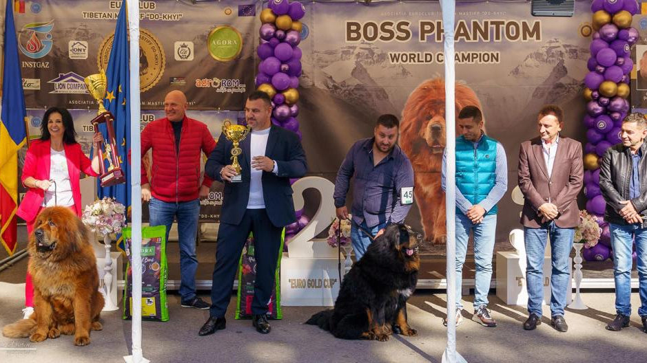 Expo Dog Show Club Tibetan Mastiff - Târgu Mureș