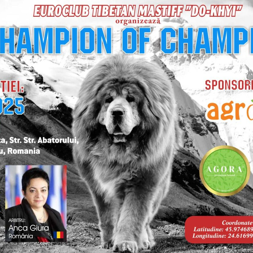 Euro Club Tibetan Mastiff "Do Khyi" Agnita 28 martie 2025