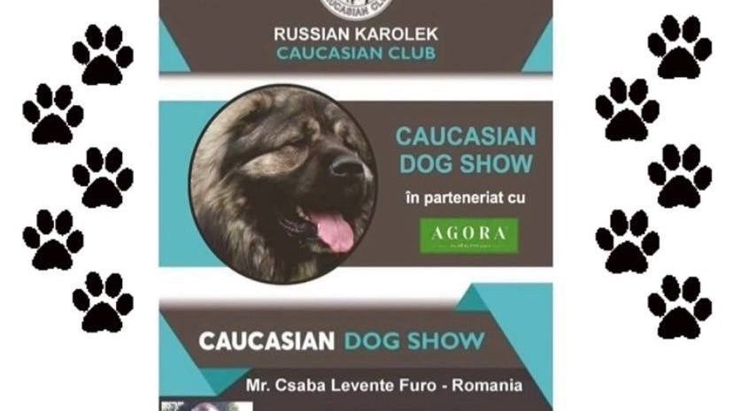 CAUCASIAN DOG SHOW 2021
