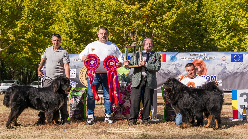 ,,CAMPIONATUL ANULUI - 2023’’