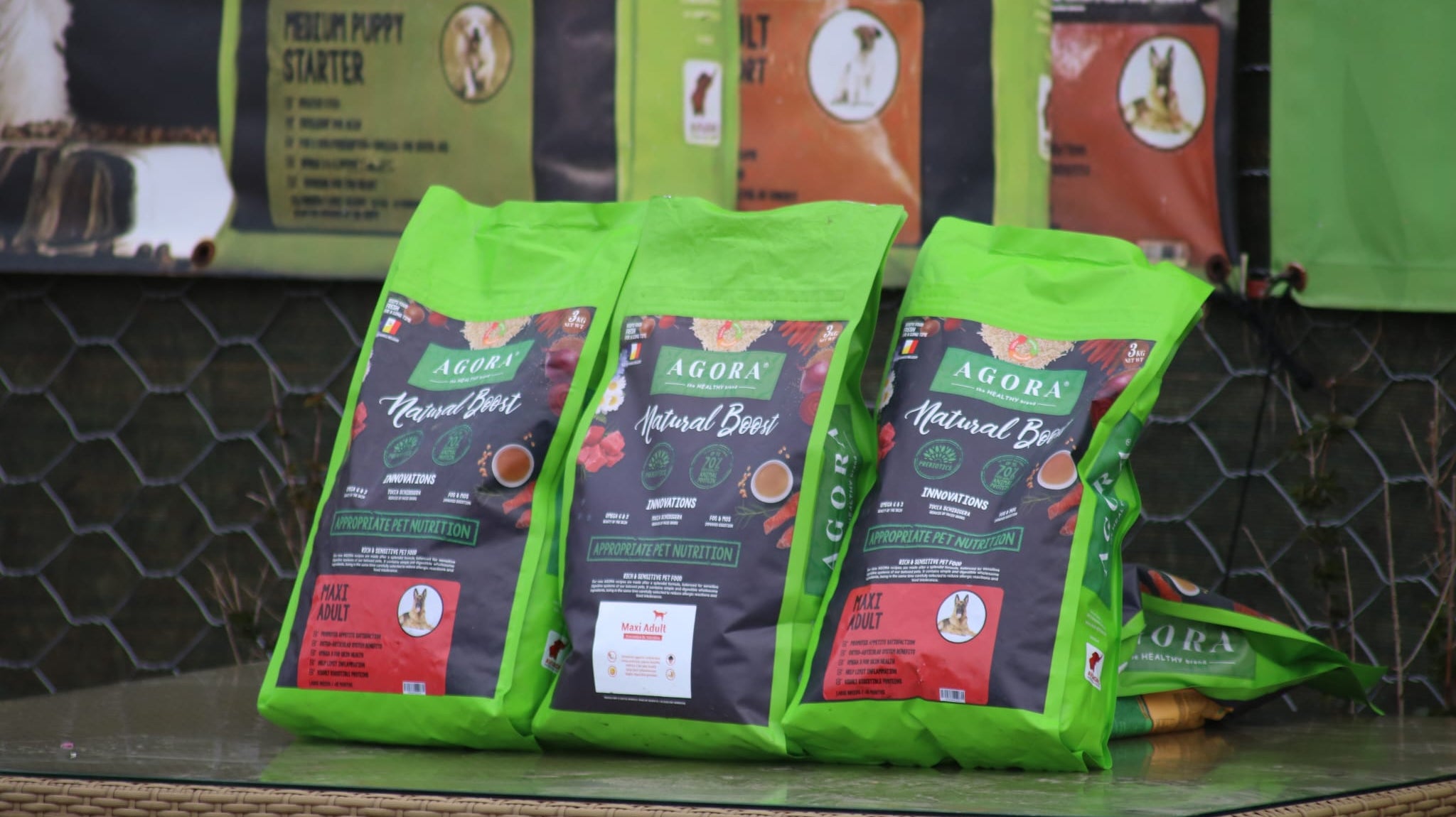 Examen BH si Mondioring Ciorogarla, Ilfov, 25-26 ianuarie 2025