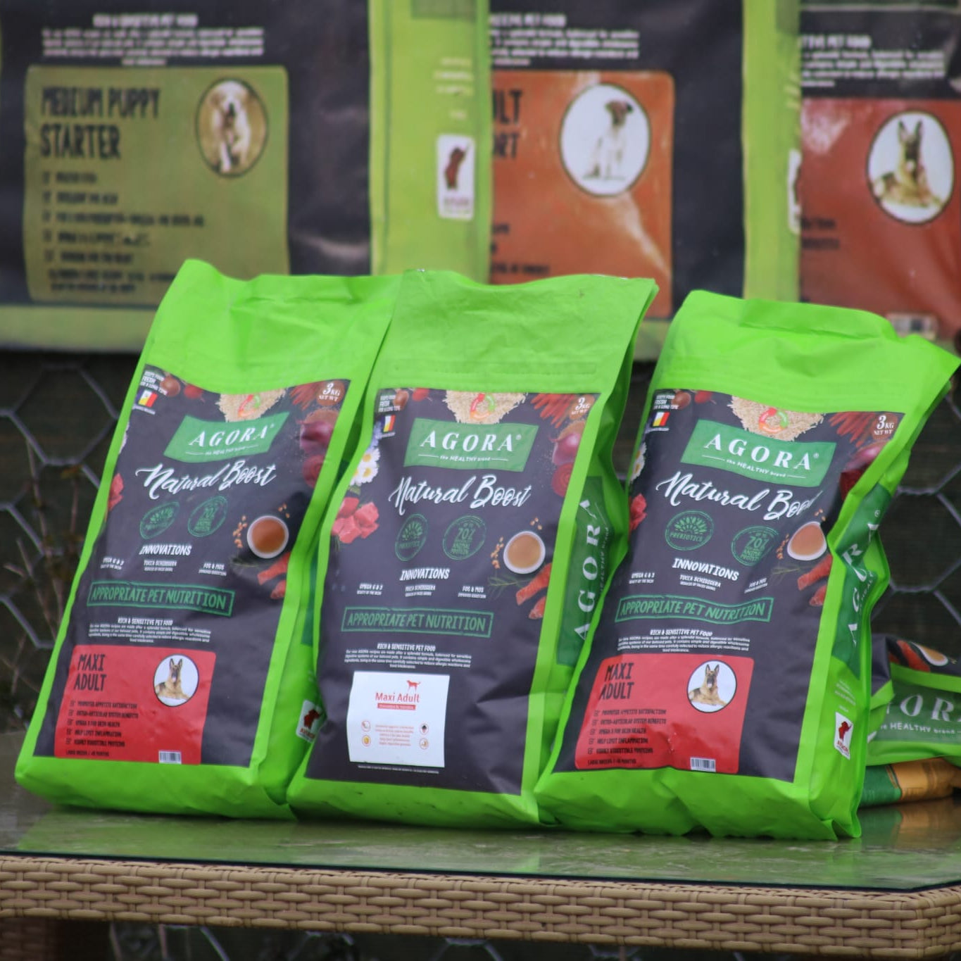 Examen BH si Mondioring Ciorogarla, Ilfov, 25-26 ianuarie 2025