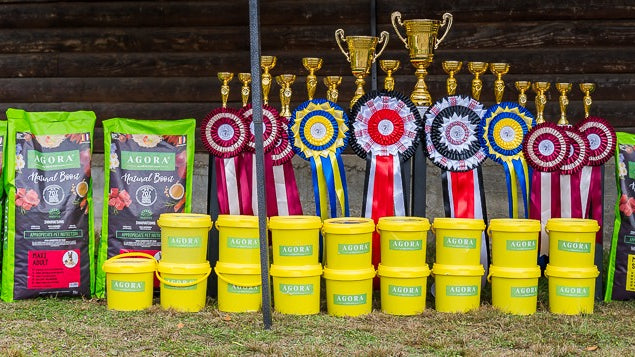 CAUCASIAN DOG SHOW 2023