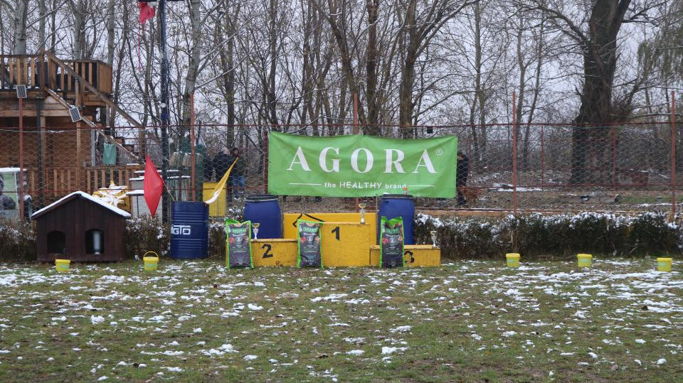 Examen BH si TSAC - 9, 10 Decemrie 2023