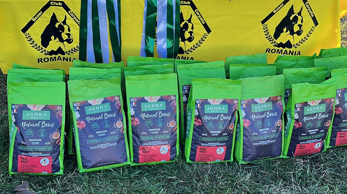 Cupa de Aur a Romaniei 2024