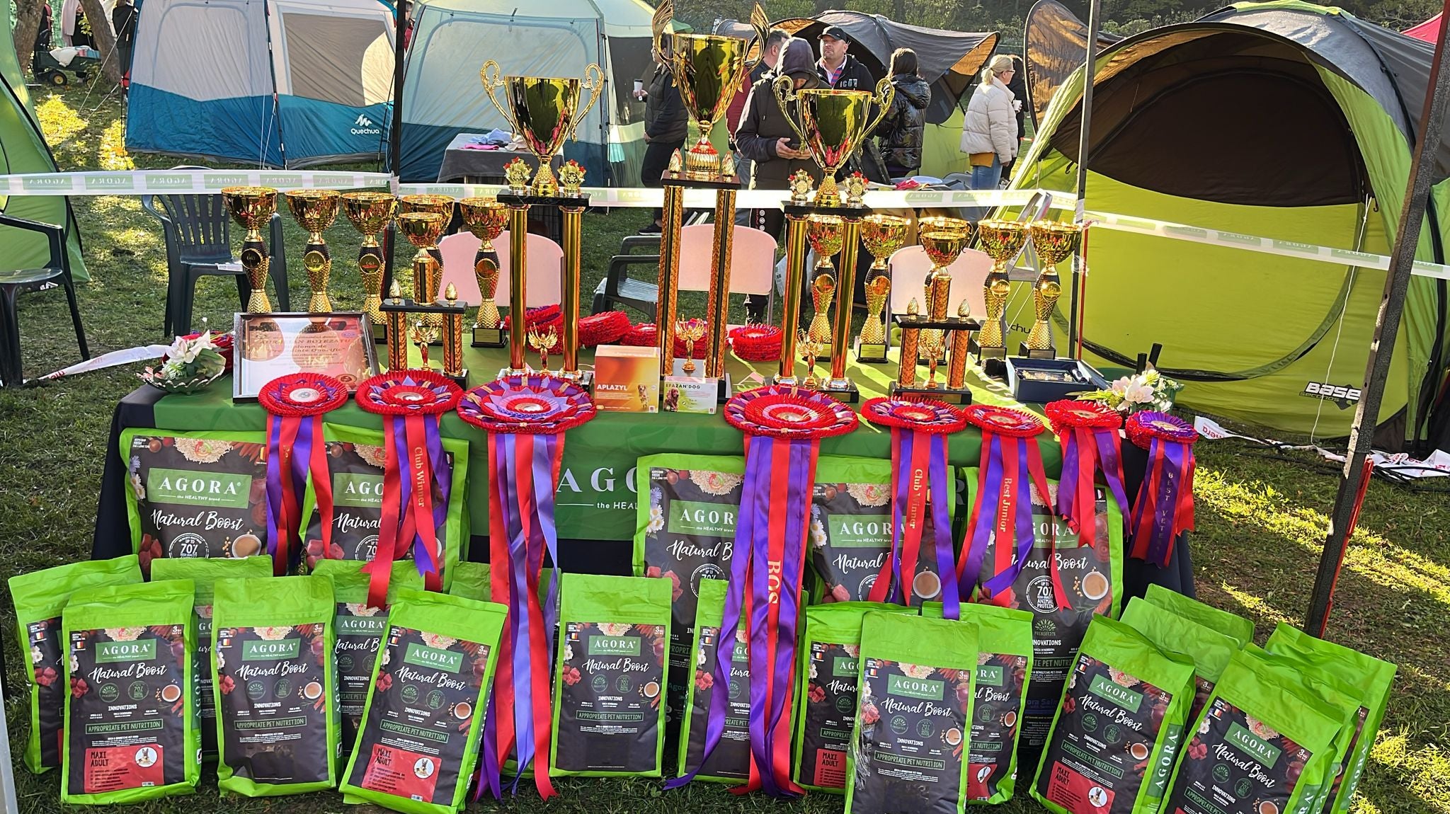 Euroclub Tibetan Mastiff 2024