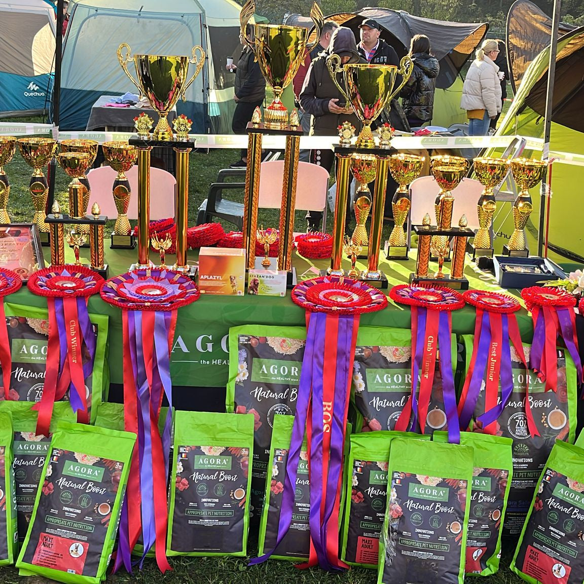 Euroclub Tibetan Mastiff 2024