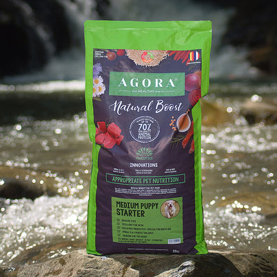 MEDIUM_PUPPY_STARTER_AGORA