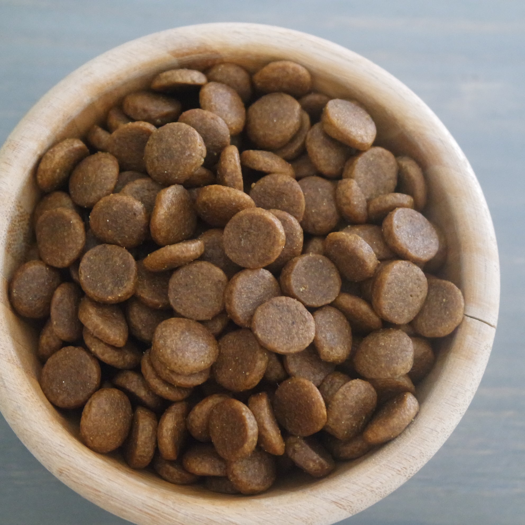 AGORA Super Premium Maxi Starter 3 kg