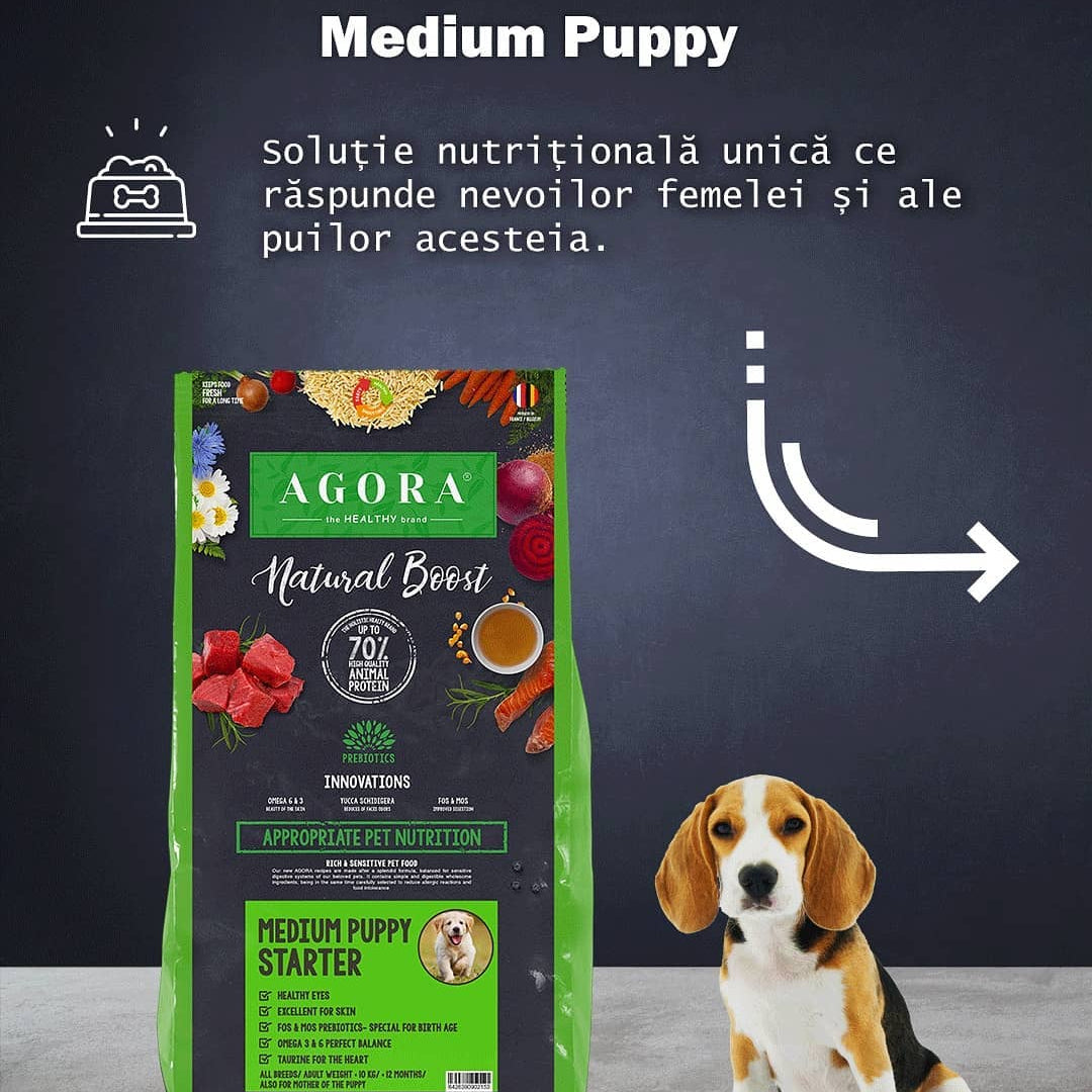 medium puppy starter 1