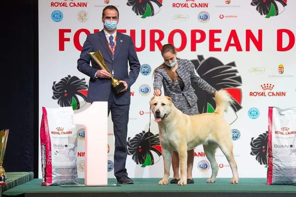 FCI EUROPEAN Dog Show 2021