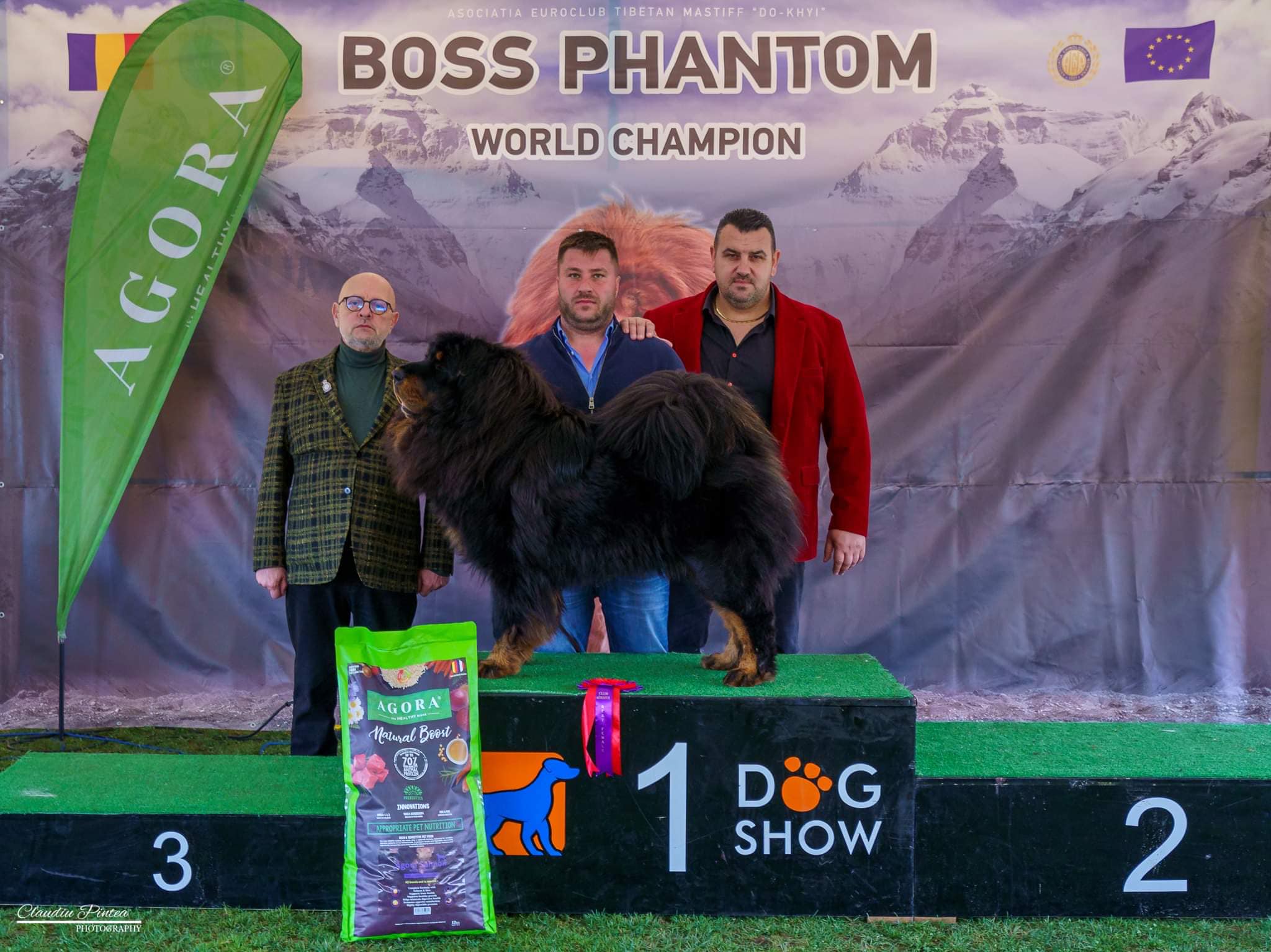 DUMBRAVENI DOG SHOW 24 Martie 2023