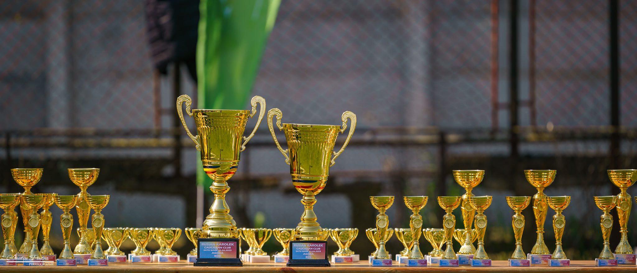 Competiție de Club Ciobanesc Caucazian Satu Mare Dog Show, 22.04.2023