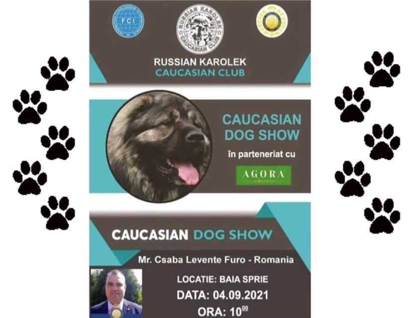 CAUCASIAN DOG SHOW 2021