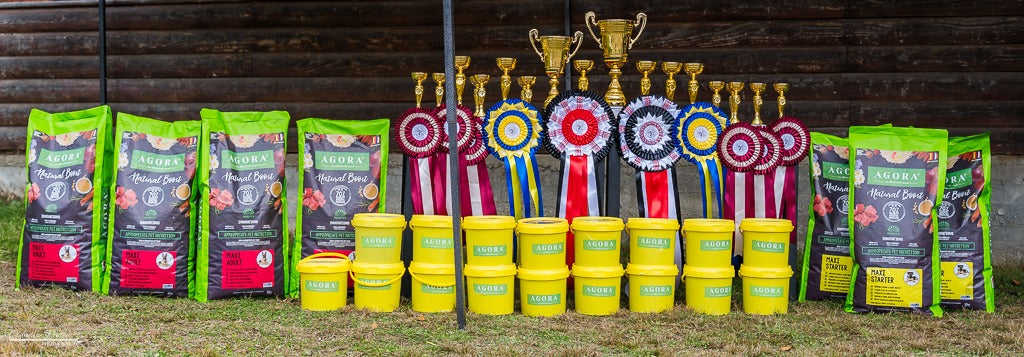 CAUCASIAN DOG SHOW 2023